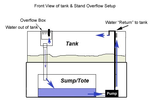 Overflows - AquaCorals Saltwater Reef Aquariums