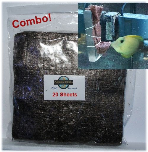combo aquamag nori seaweed nori seaweed nori feeder sold at nori sheet