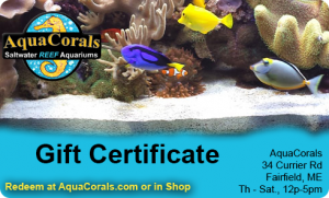 Aqua Corals Gift Certificates